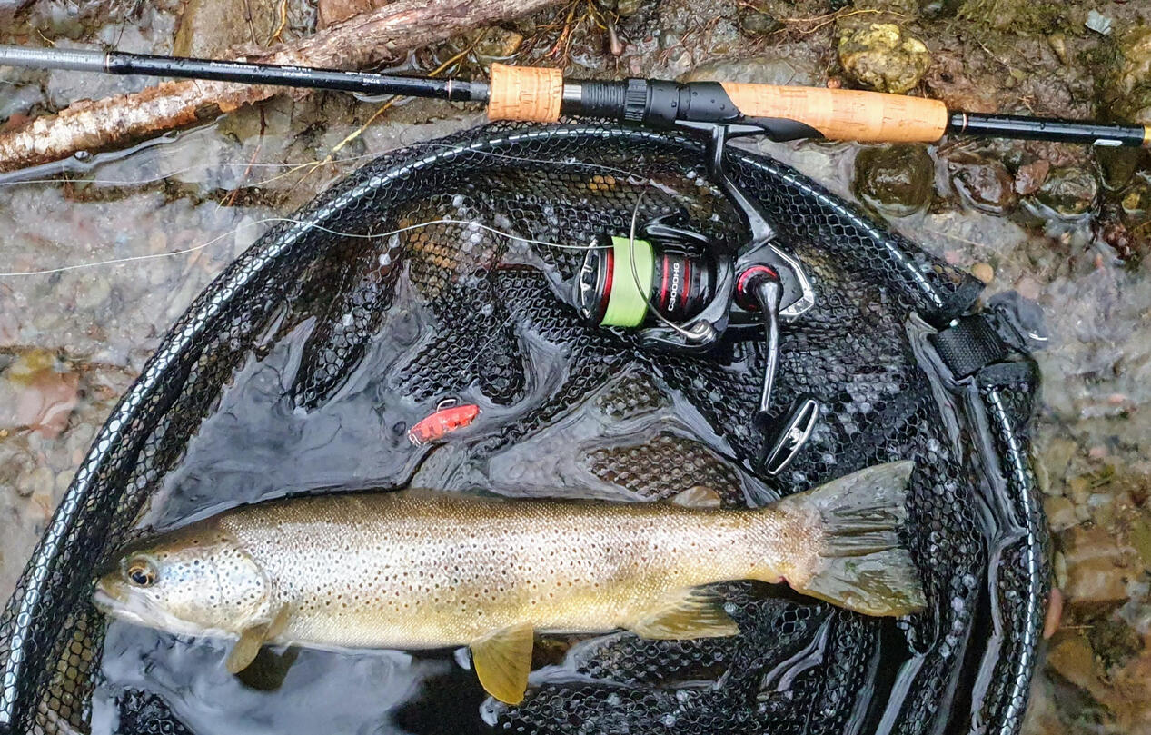 Cuiller ondulante Gemini Lures double tôle Attractant