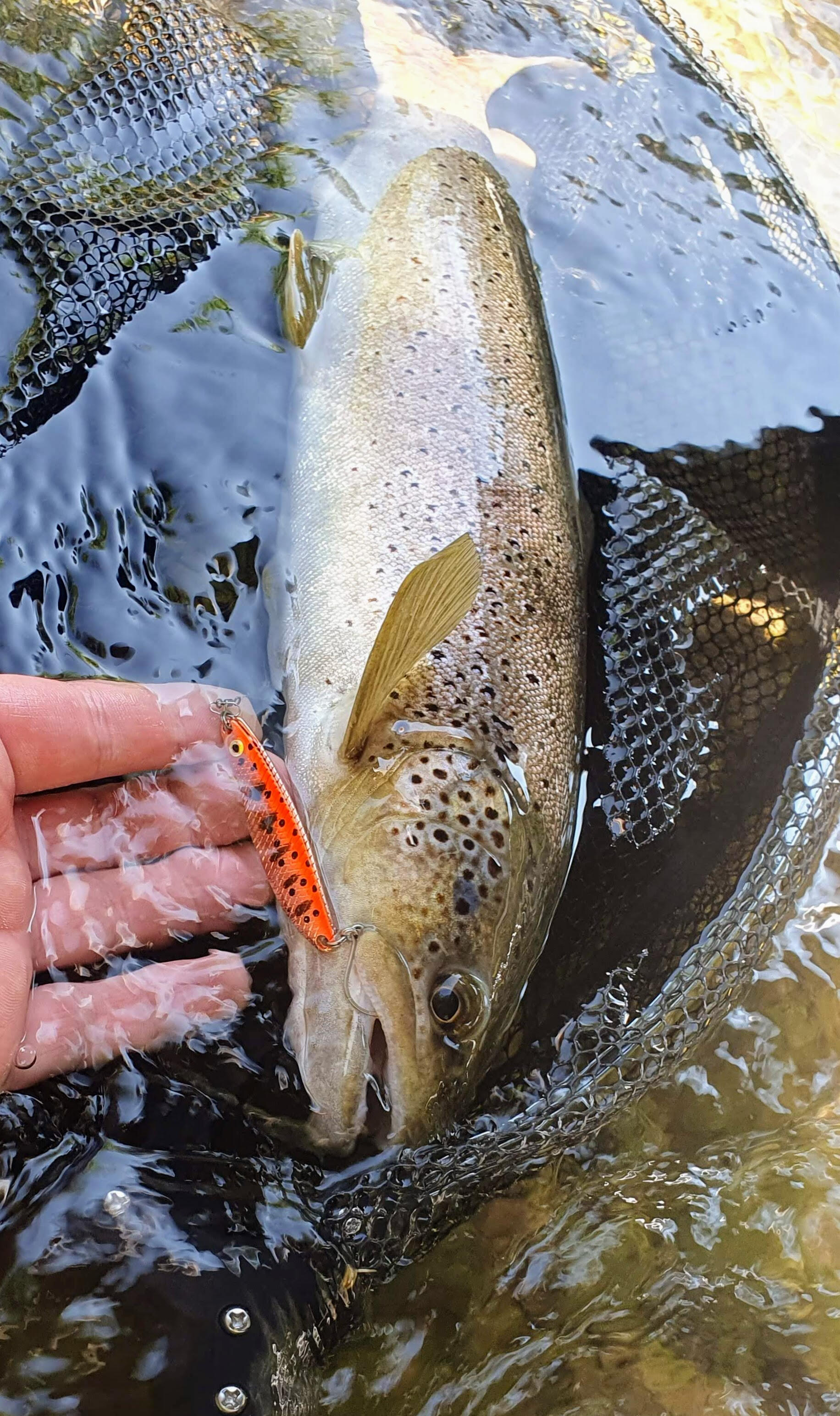 Cuiller ondulante Gemini Lures double tôle Attractant